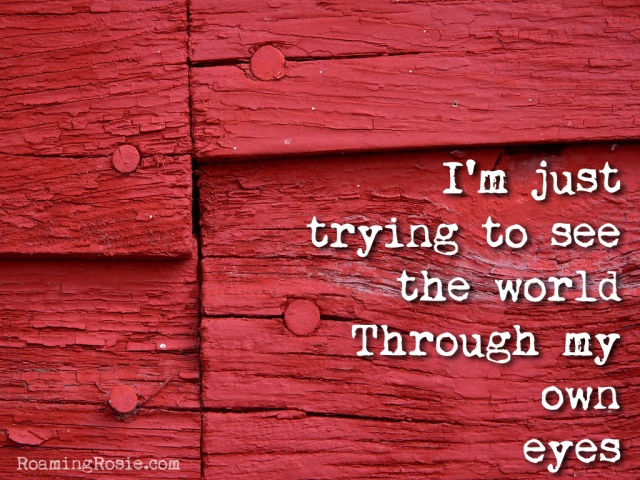 Skylar Grey "Wear Me Out" Quote:  I'm just trying to see te world through my own eyes