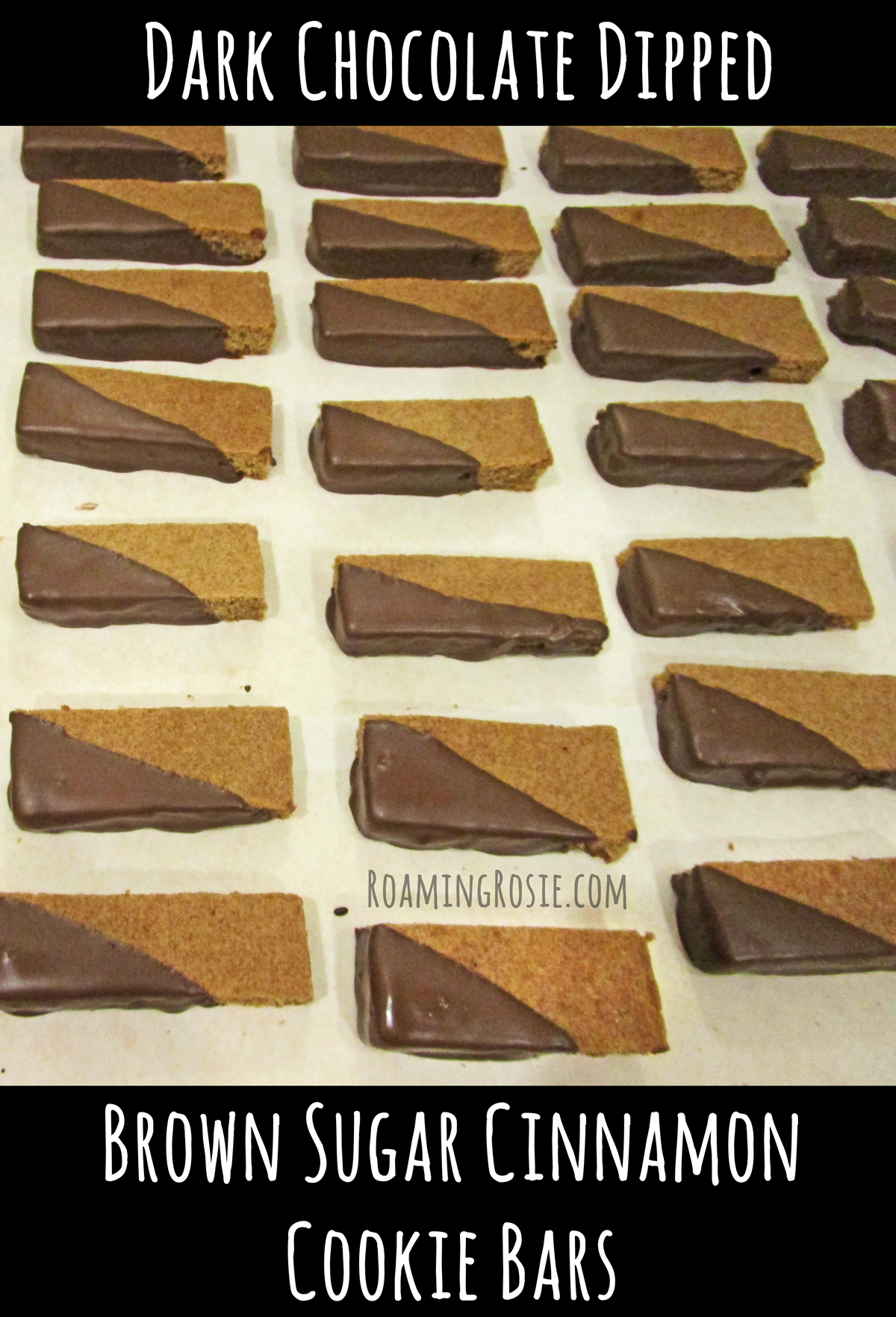 Dark Chocolate Dipped Brown Sugar Cinnamon Cookie Bars